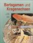 Preview: Bartagamen und Kragenechsen